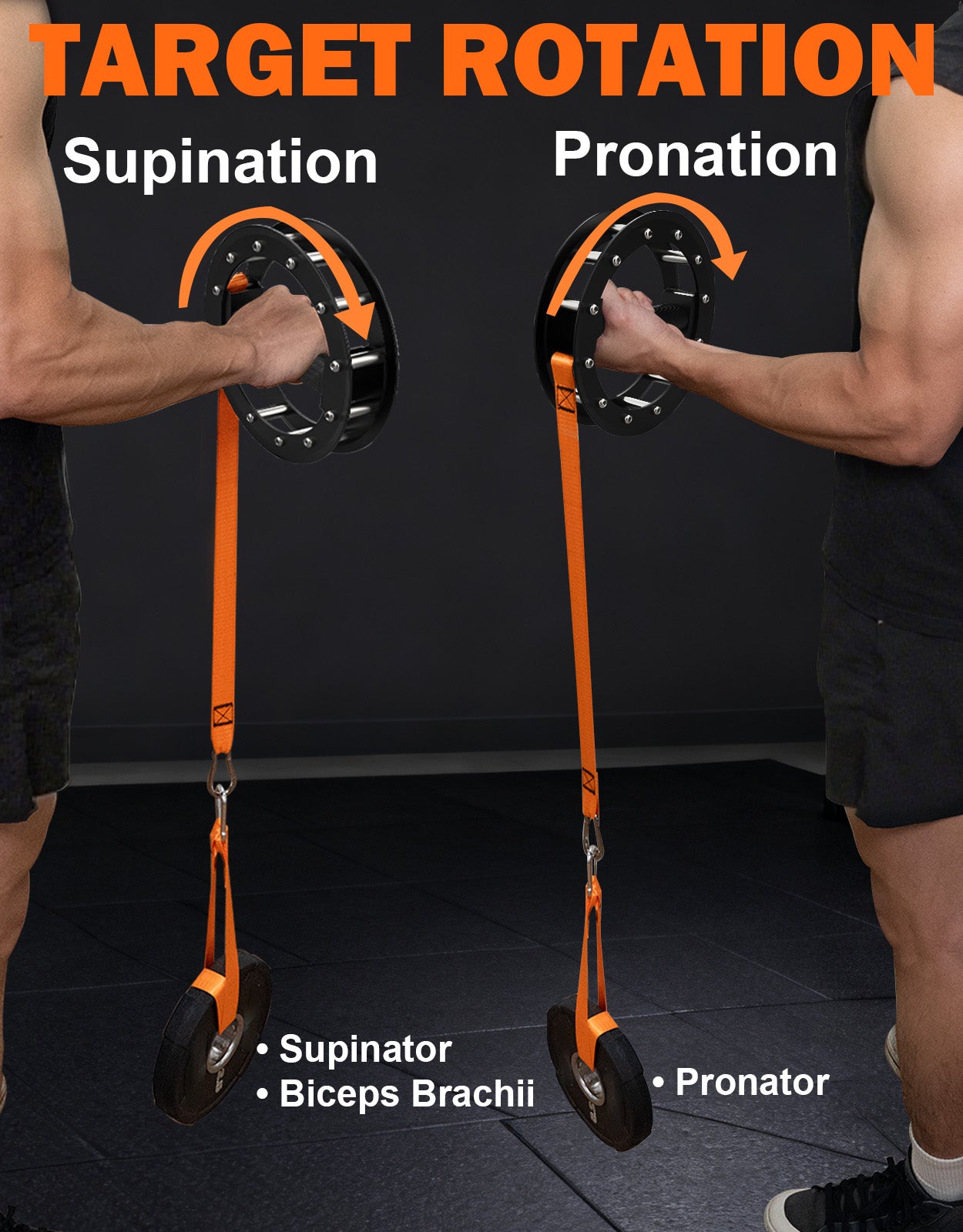 Fitarc Forearm Wrist Rotation Trainer